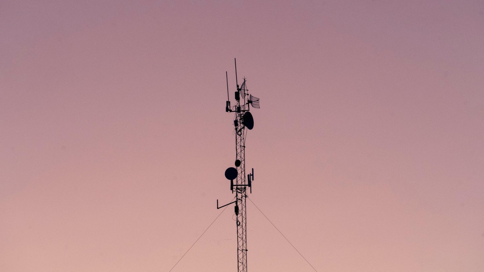 pexels imperioame 13423531