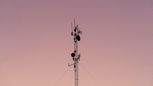 pexels imperioame 13423531